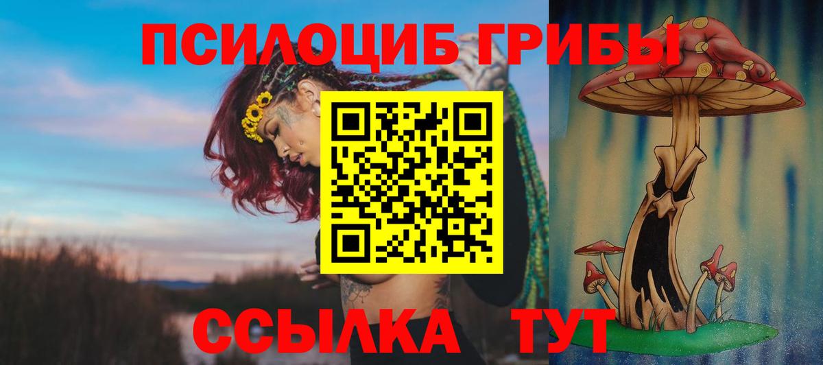 Галлюциногенные грибы MAGIC MUSHROOMS Чайковский